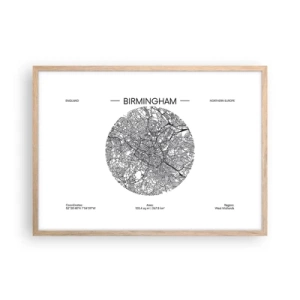 Pôster com moldura de carvalho claro - Anatomia de Birmingham - 70x50 cm
