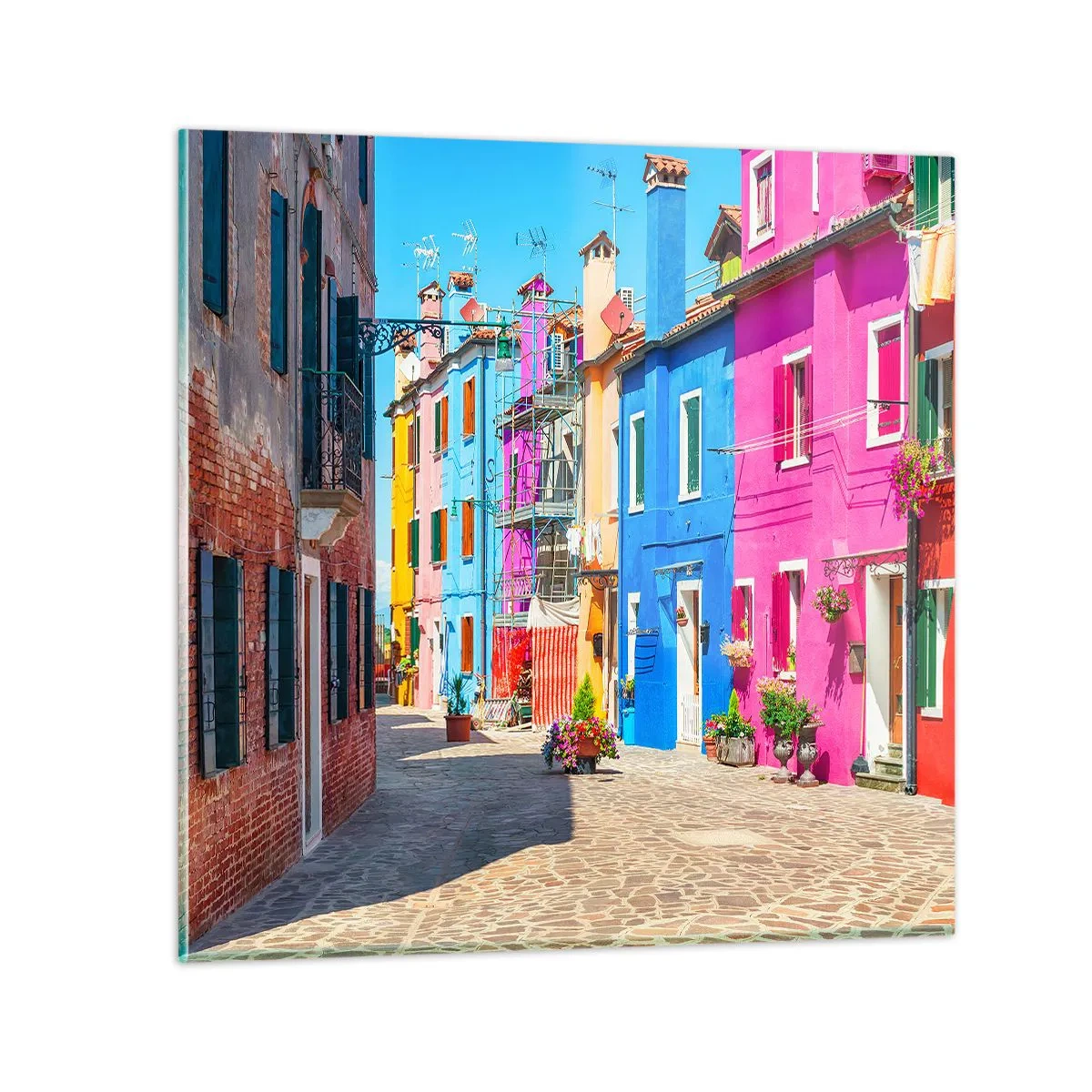 Quadro em vidro - A Cidade dos Papagaios - 30x30 cm