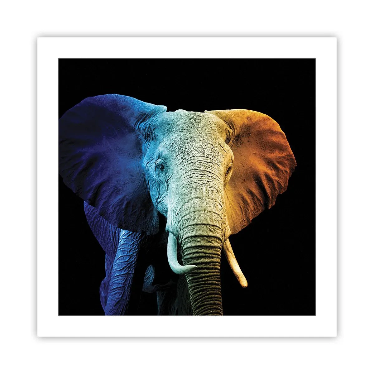 Pôster - Excêntrico, não esquisito - 50x50 cm