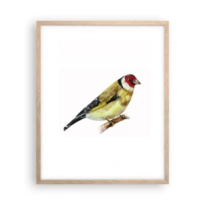 Pôster com moldura de carvalho claro - Retrato de um pássaro - 40x50 cm