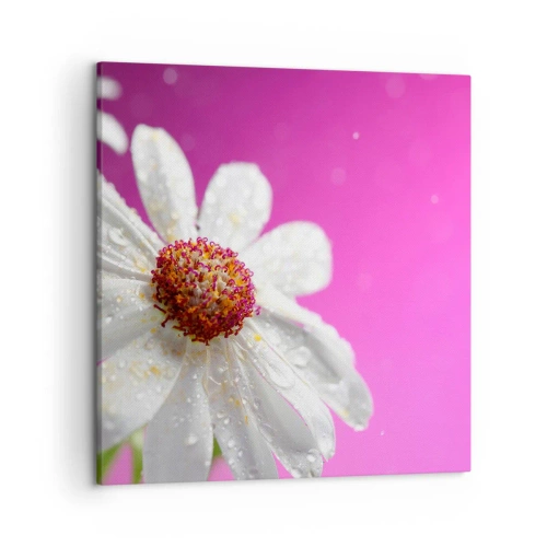 Quadro em tela - Modesto em sua beleza - 50x50 cm