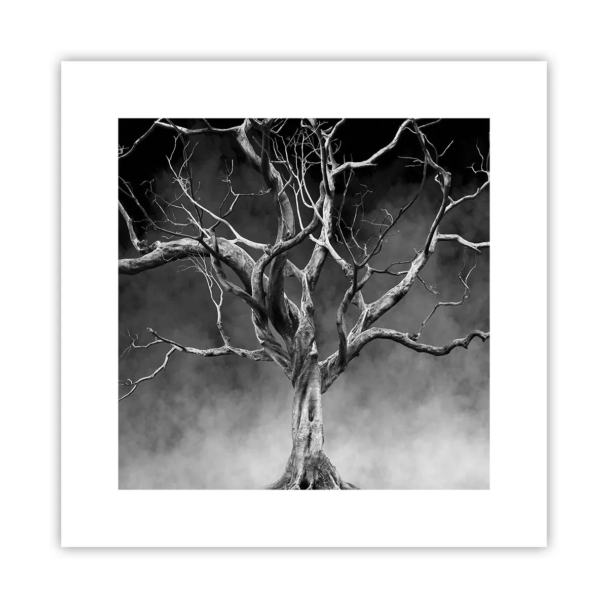 Pôster - Primitivo e sagrado - 30x30 cm