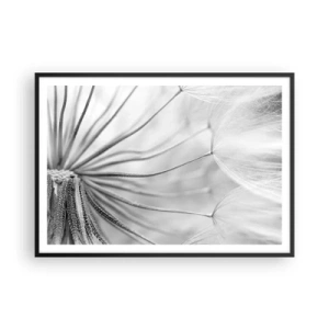 Pôster com moldura preta - Dentes de leão, pipas - 100x70 cm
