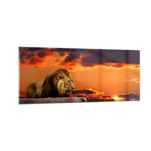 Quadro em vidro - Rei da natureza - 100x40 cm