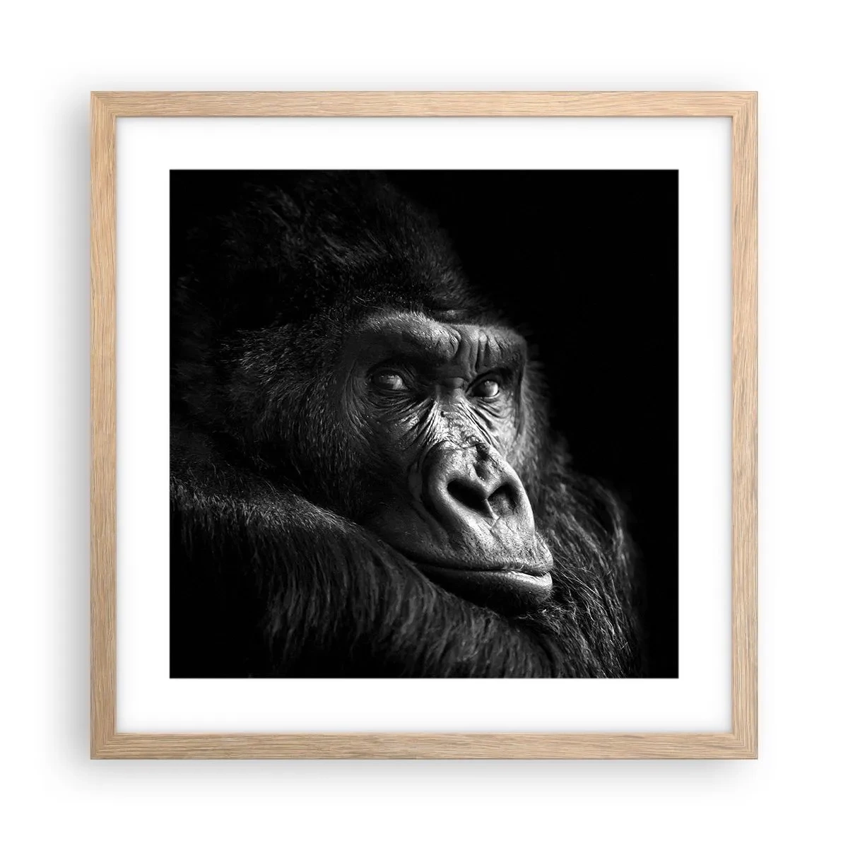 Pôster com moldura de carvalho claro - E para que é que estás a olhar? - 40x40 cm