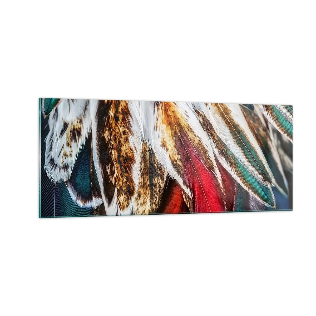 Quadro em vidro - Segredos de vôo - 100x40 cm