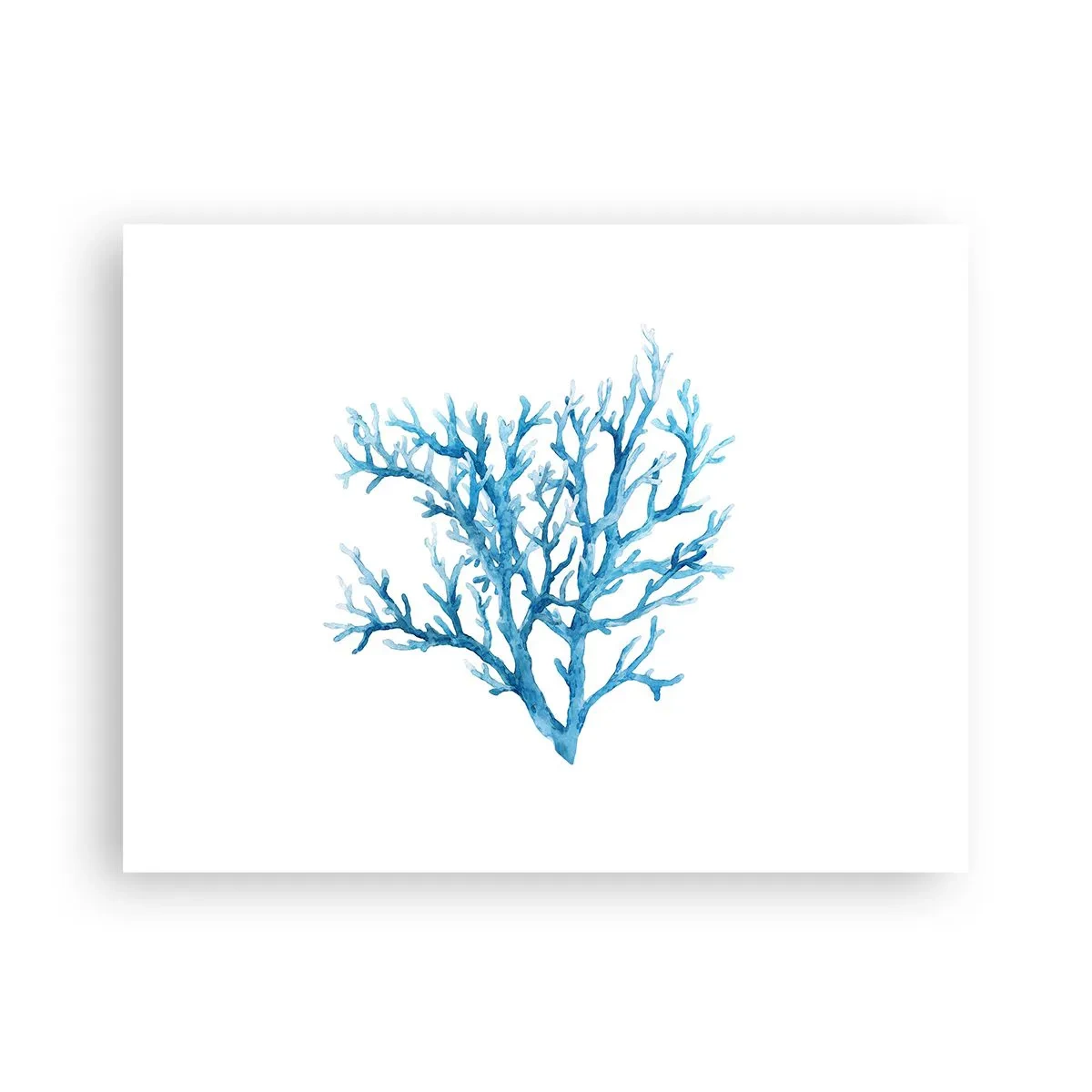 Pôster - Filigrana náutica - 40x30 cm