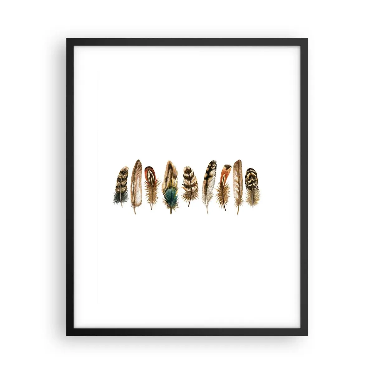 Pôster com moldura preta - Variações de penas - 40x50 cm