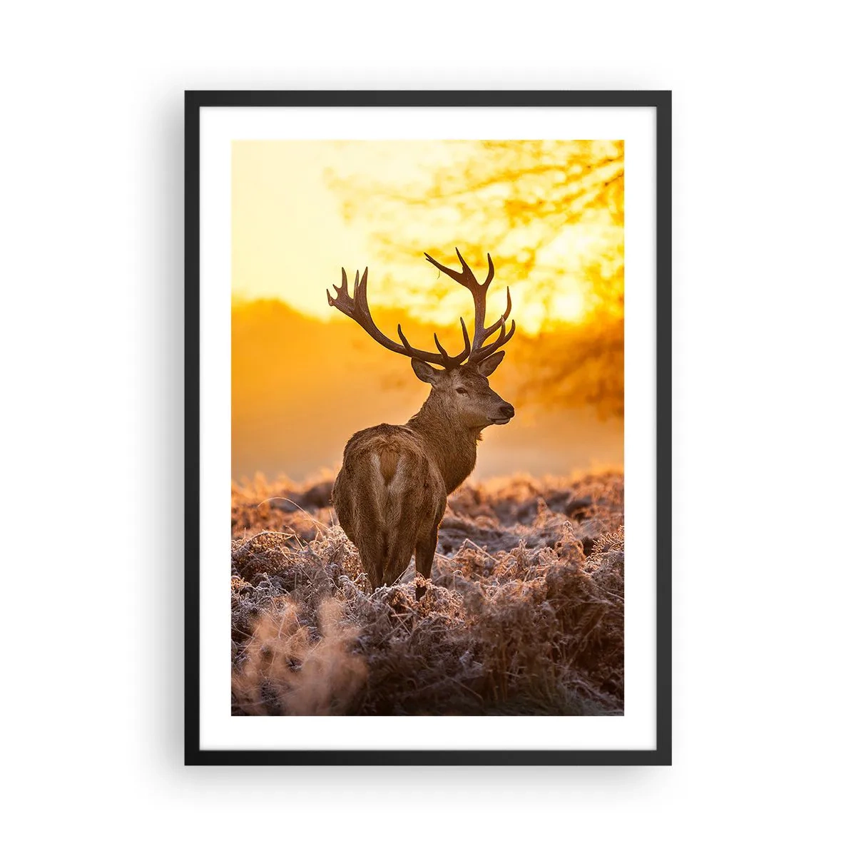 Pôster com moldura preta - Um cervo tendo como pano de fundo um nascer do sol dourado - 50x70cm - Rei da floresta de outono - Decoração de parede moderna para a sala de estar e quarto ARTTOR