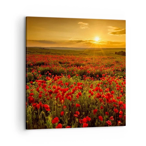 Quadro em tela - Entre o farfalhar da onda de prados, entre o dilúvio das flores - 60x60 cm