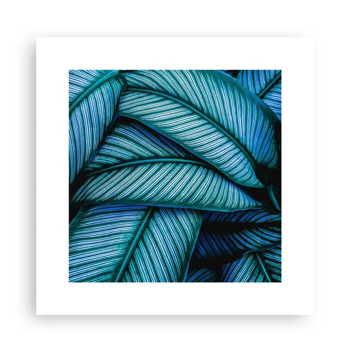 Pôster - Linhas de vida - 30x30 cm