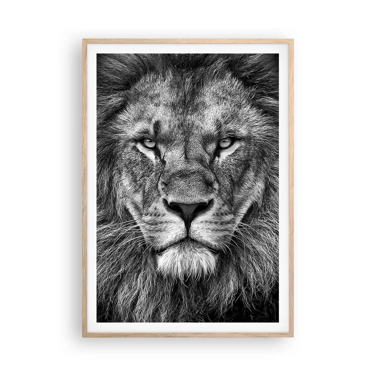 Pôster com moldura de carvalho claro - Em trajes de coroação - 70x100 cm