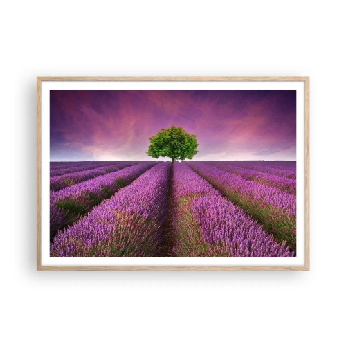 Pôster com moldura de carvalho claro - Nos campos de lavanda - 100x70 cm