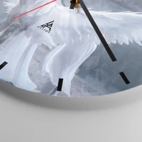 Mostrador com traços