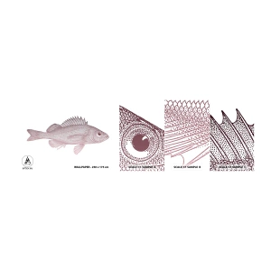 Amostra de papel de parede autocolante Deluxe Sticker - Peixe de olhos grandes - Peixe, Embaixo da agua, Minimalista - 100x30 cm