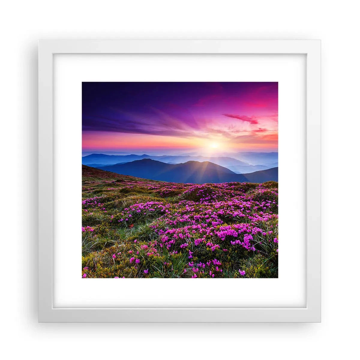 Pôster em moldura branca - Campo cheiroso - 30x30 cm