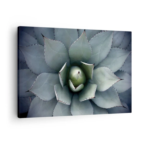 Quadro em tela - Close-up de uma roseta de agave em delicados tons de verde - 70x50cm - Atrai e adverte - Decoração de parede moderna para a sala de estar e quarto ARTTOR