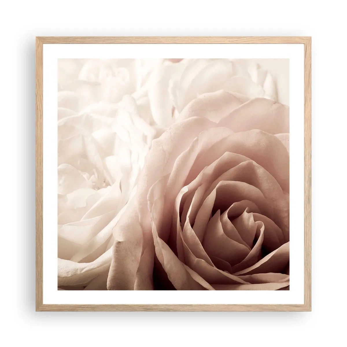 Pôster com moldura de carvalho claro - No coração de uma rosa - 60x60 cm
