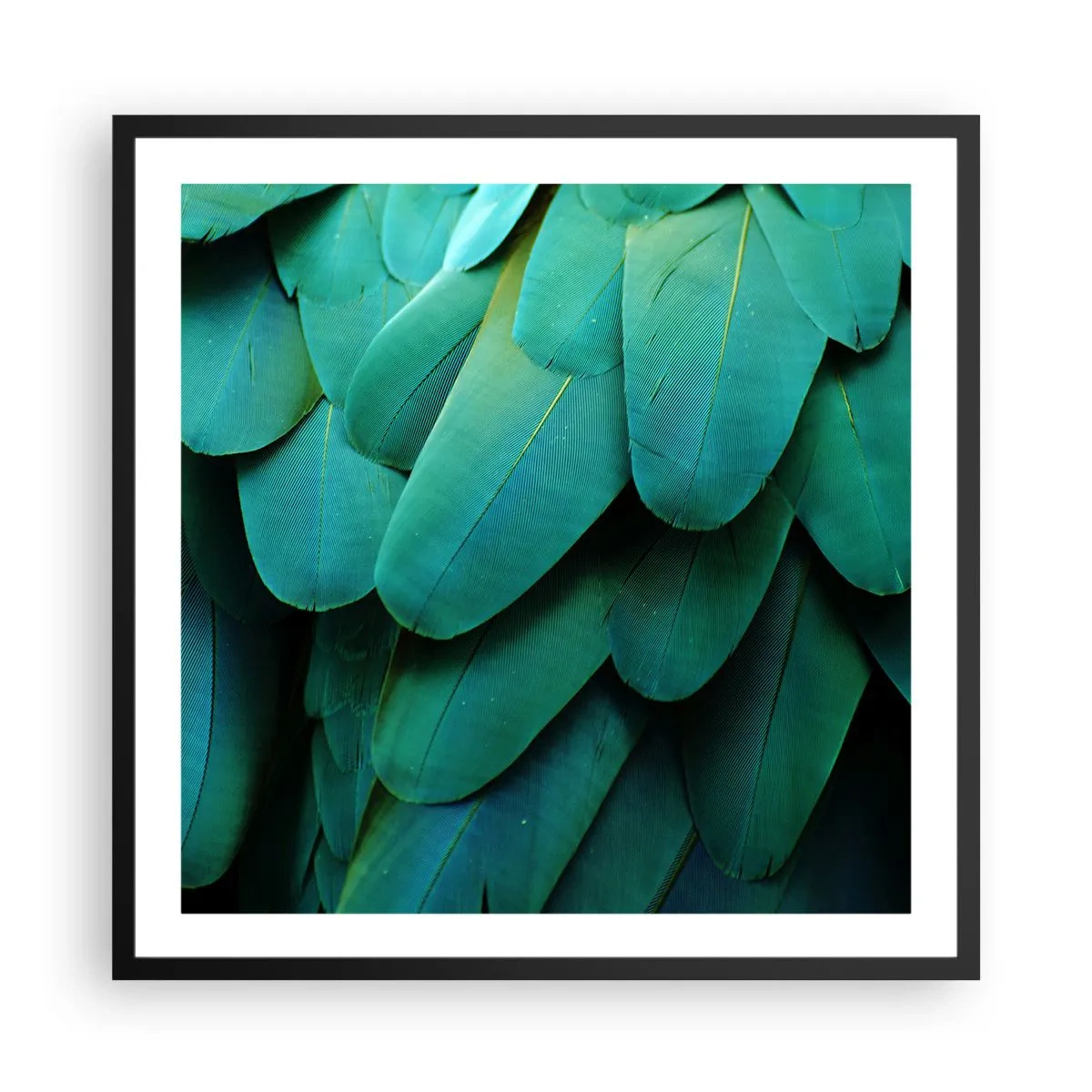 Pôster com moldura preta - Precisão de papagaio - 60x60 cm