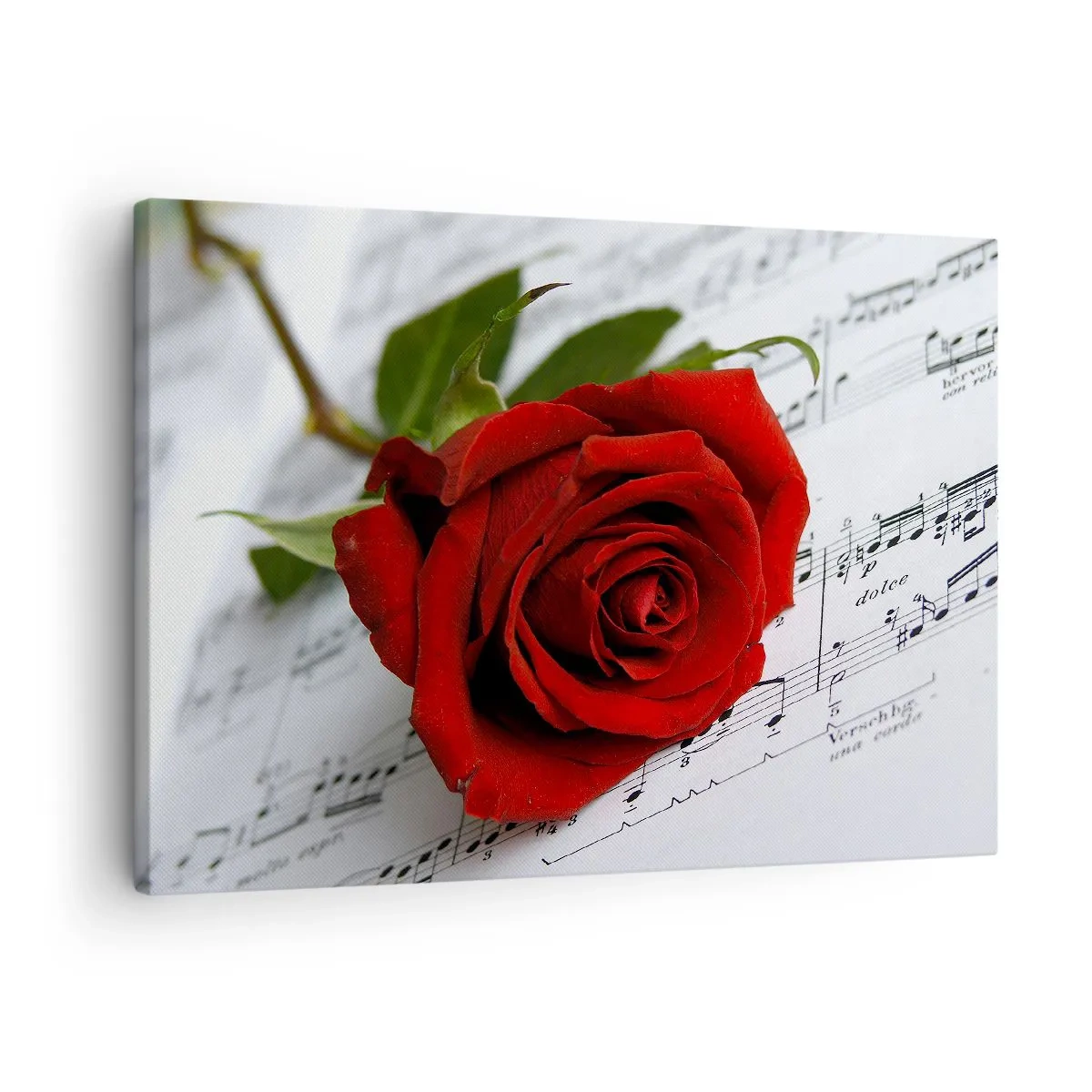 Quadro em tela - Uma rosa vermelha sobre um fundo de notas musicais em papel branco. - 70x50cm - Música de sentimentos em escarlate - Decoração de parede moderna para a sala de estar e quarto ARTTOR