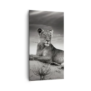 Quadro em tela - Descanso da Rainha do Deserto - 55x100 cm