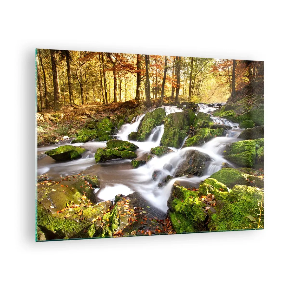 Quadro em vidro - Um riacho na floresta com cachoeiras em uma paisagem de outono - 70x50cm - Pela floresta de outono - Decoração de parede moderna para a sala de estar e quarto ARTTOR