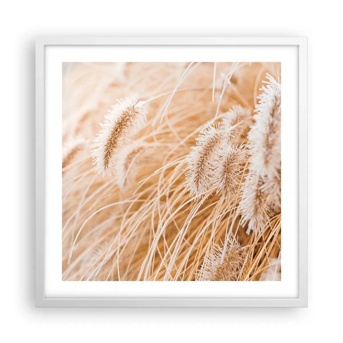 Pôster em moldura branca - O murmúrio dourado das plantas - 50x50 cm