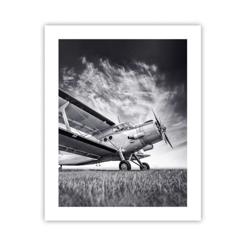 Pôster - Andarilho alado - 40x50 cm