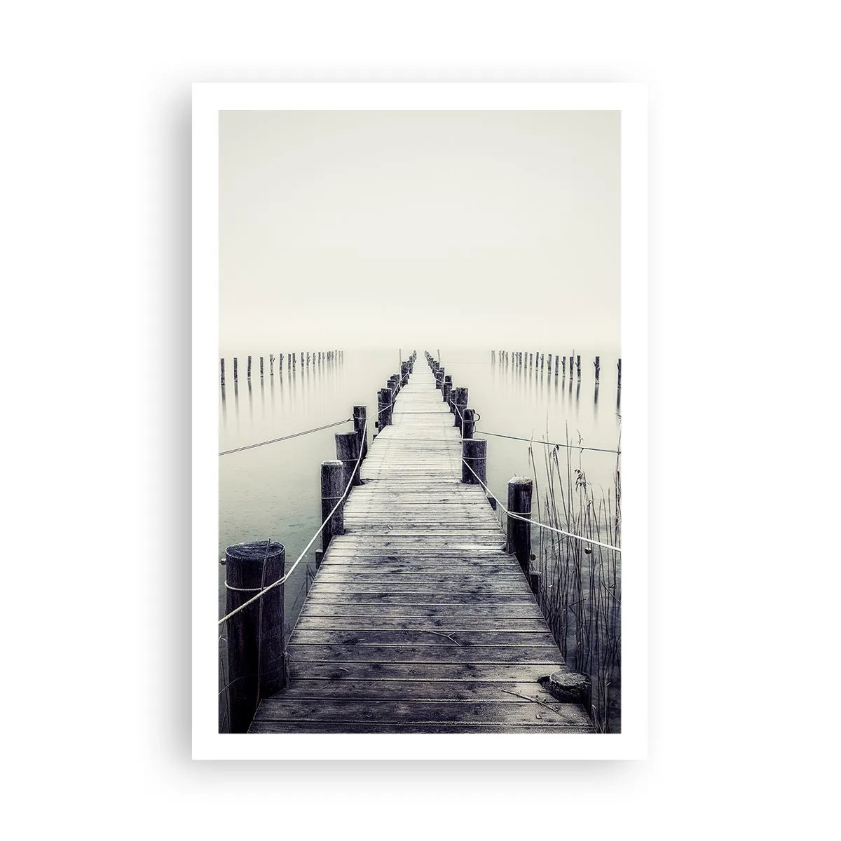 Pôster - Mergulhe em paz - 61x91 cm