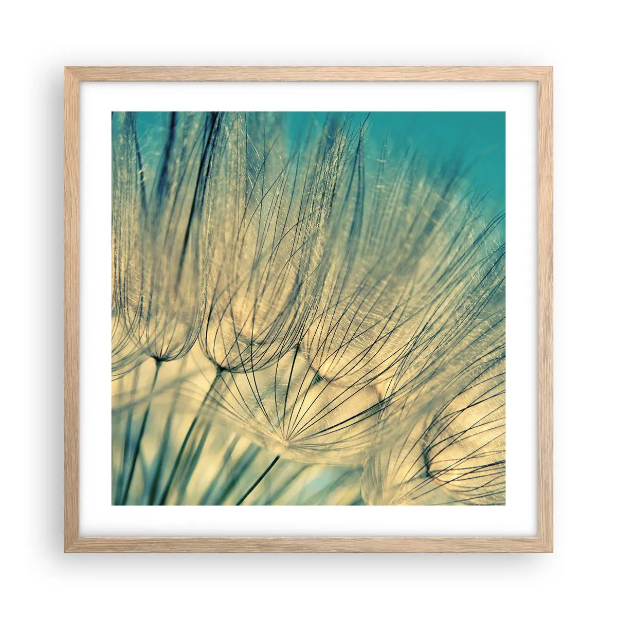 Pôster com moldura de carvalho claro - À espera do vento - 50x50 cm