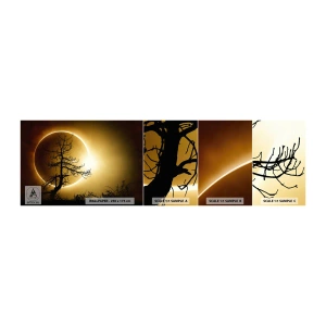Amostra de Papel de Parede Standard Eco - Eclipse total - Eclipse, Árvore, Paisagem - 100x30 cm