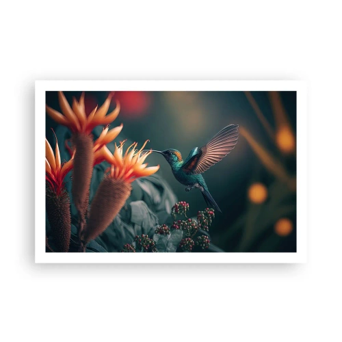 Pôster - Uma vida verdadeiramente colorida - 91x61 cm