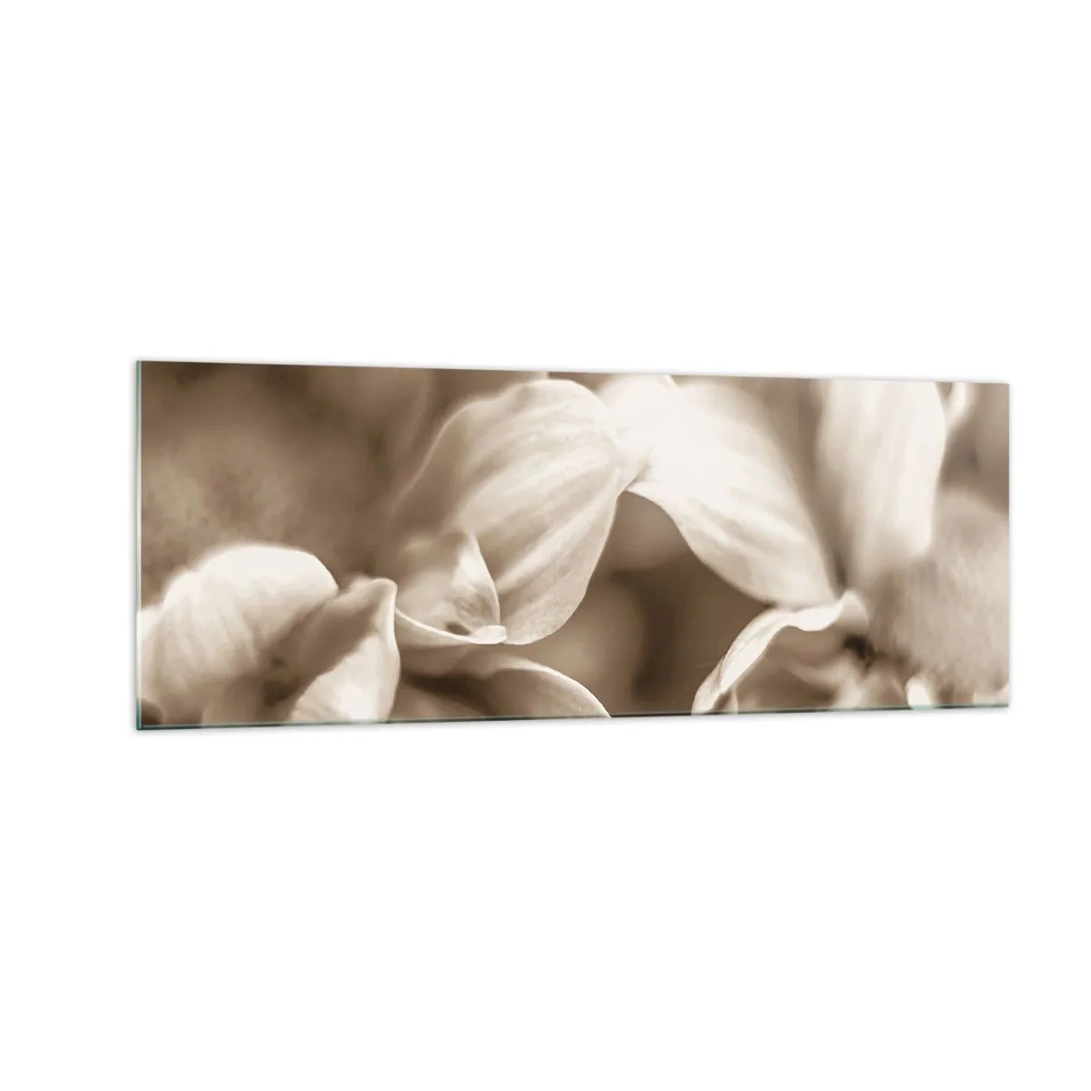 Quadro em vidro - Gentil como um sorriso - 140x50 cm