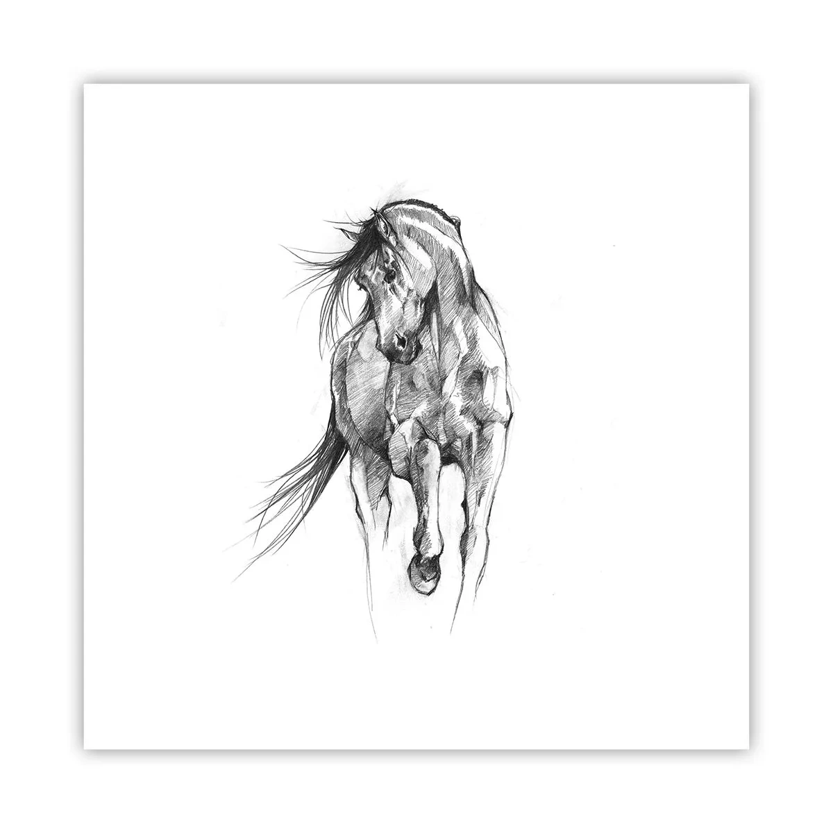Pôster - Num trote gracioso - 30x30 cm