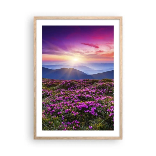 Pôster com moldura de carvalho claro - Campo cheiroso - 50x70 cm