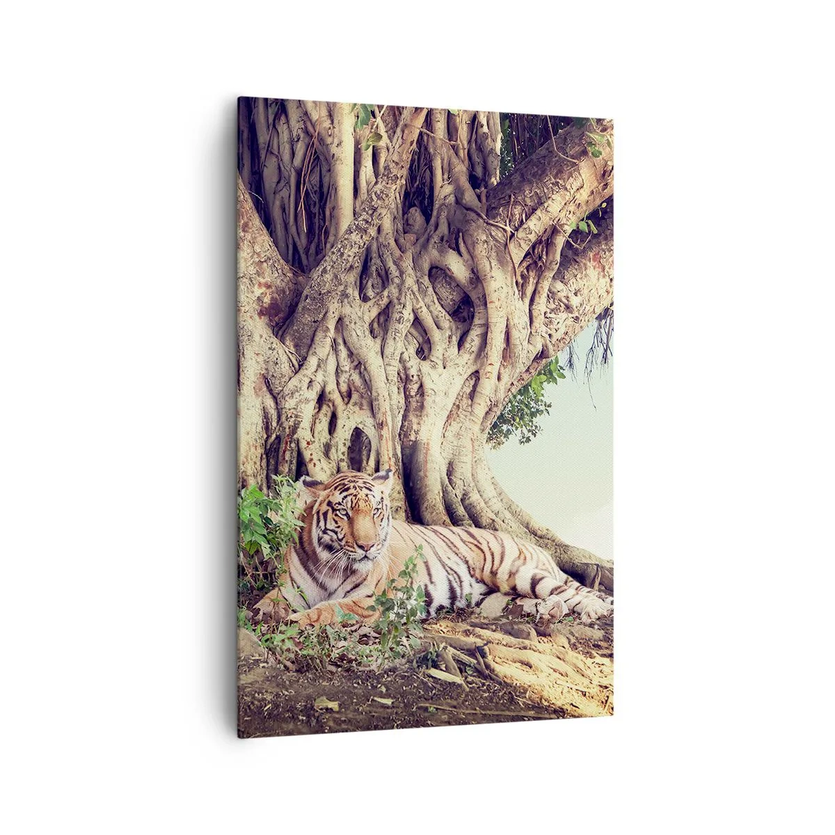 Quadro em tela - Vista do livro de Gênesis - 80x120 cm