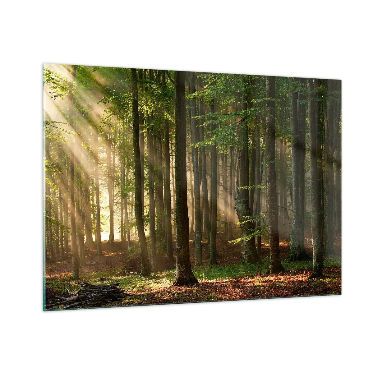 Quadro em vidro - Radiante em uma manhã de primavera - 100x70 cm
