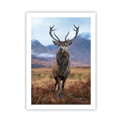 Pôster - Na sua própria terra - 50x70 cm