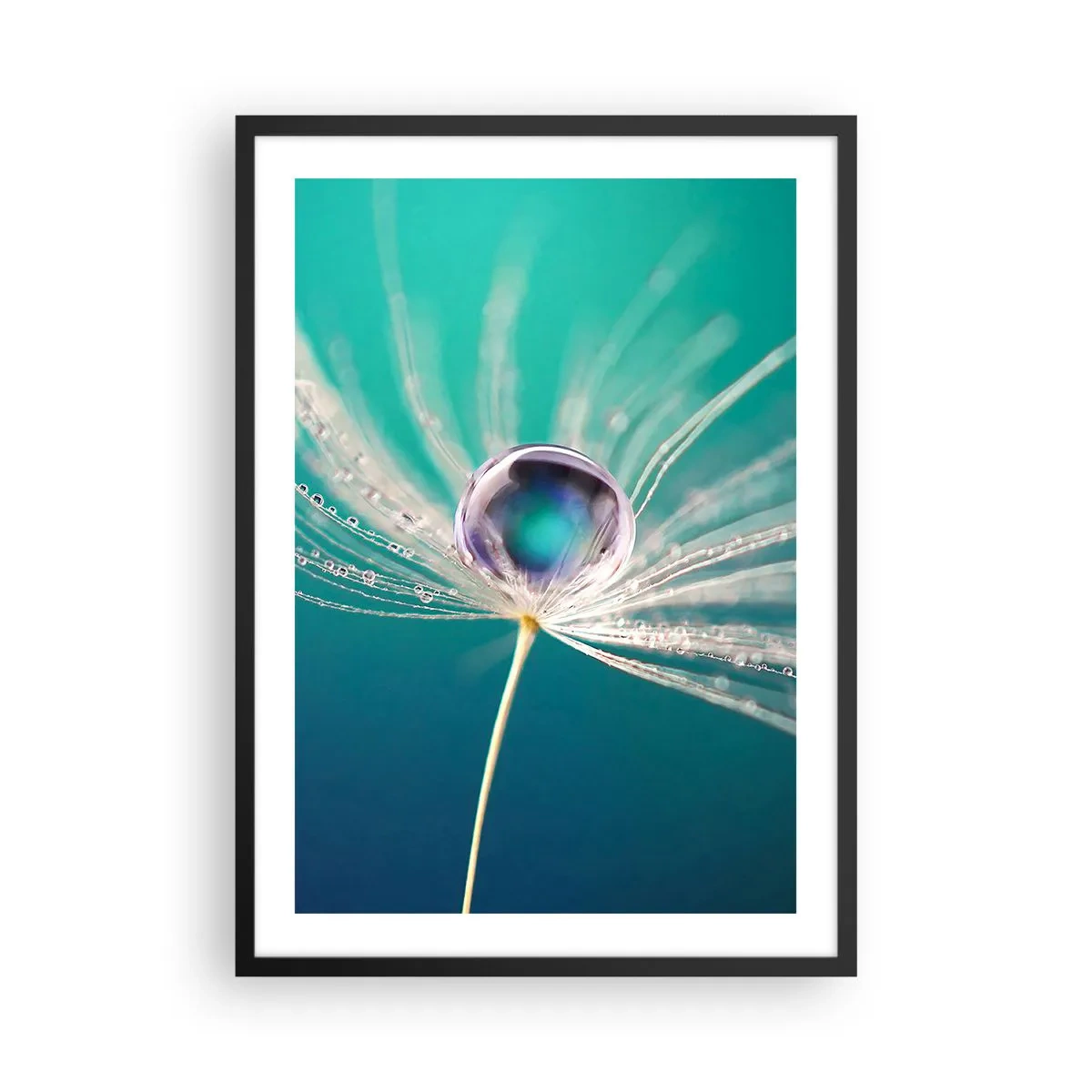 Pôster com moldura preta - Macrofotografia de uma gota d'água em um dente-de-leão - 50x70cm - Momento místico - Decoração de parede moderna para a sala de estar e quarto ARTTOR