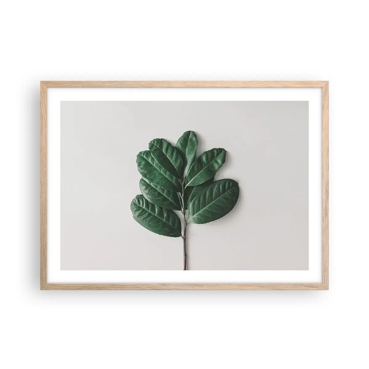 Pôster com moldura de carvalho claro - Desenho da própria natureza - 70x50 cm