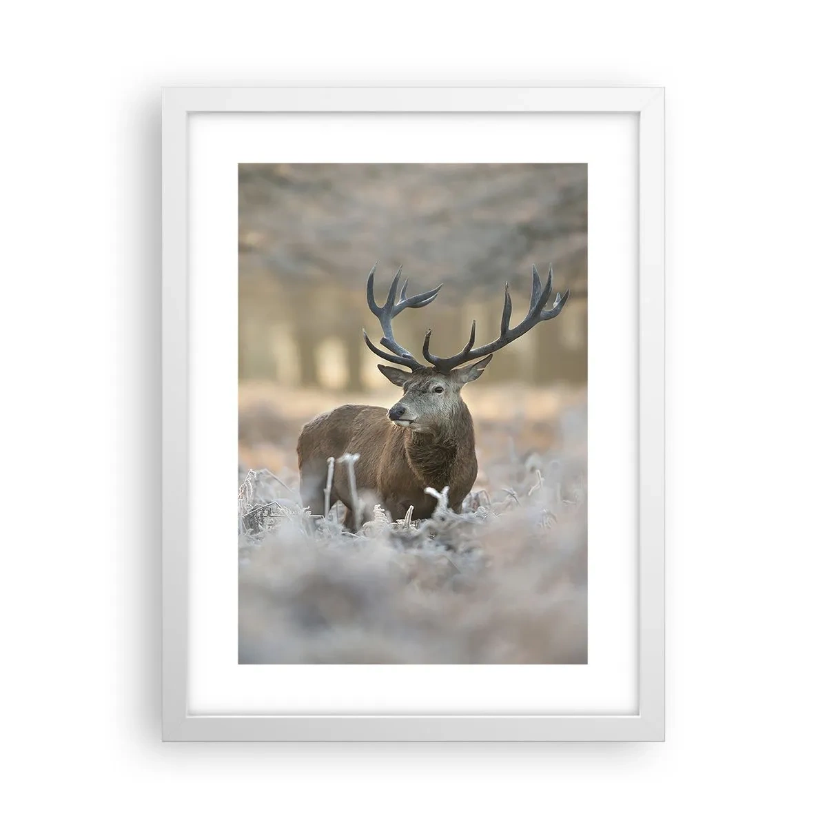 Pôster em moldura branca - Uma manhã fresca - 30x40 cm