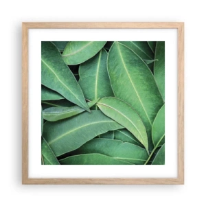 Pôster com moldura de carvalho claro - Suculentas e frescas - 40x40 cm