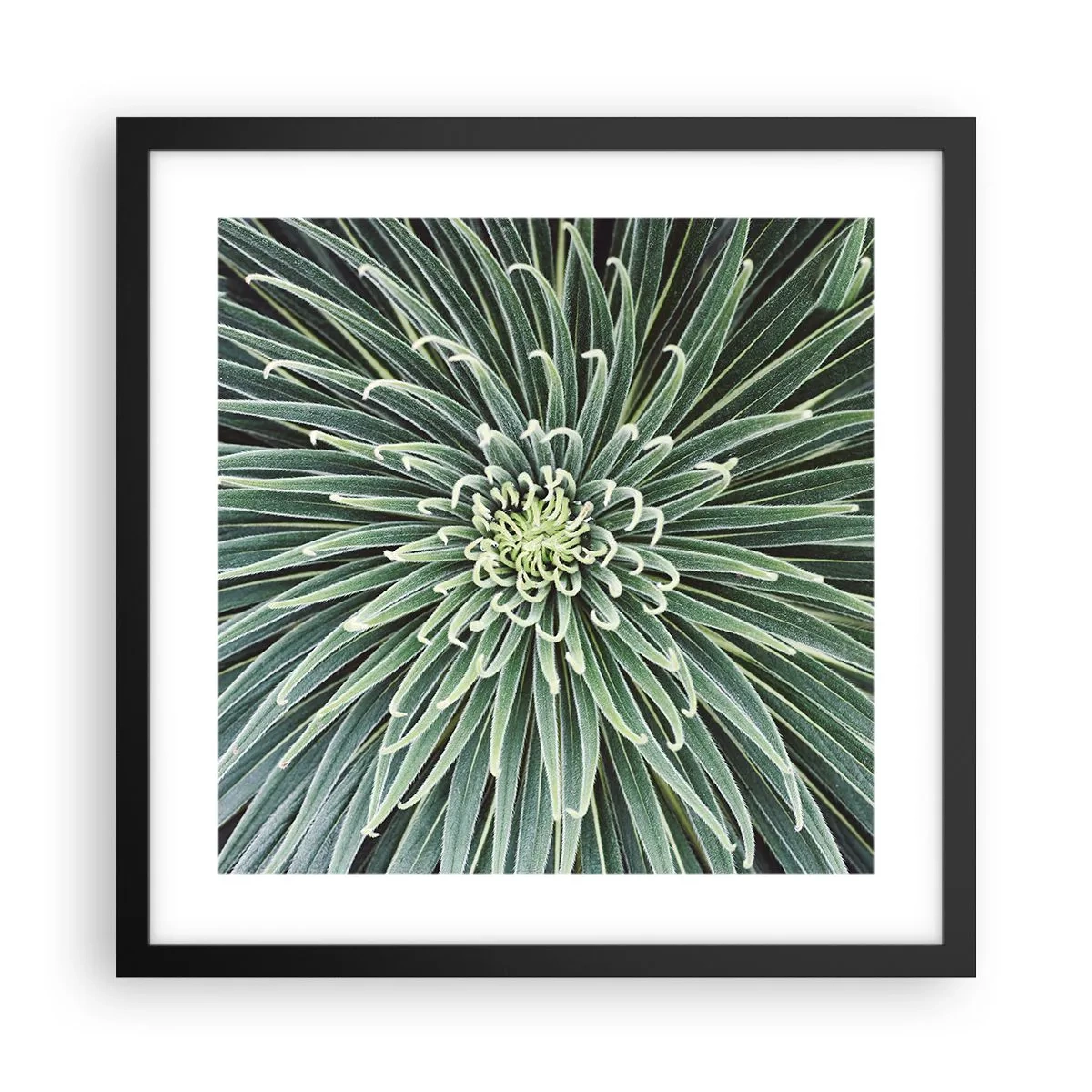 Pôster com moldura preta - Nasce uma estrela - 40x40 cm