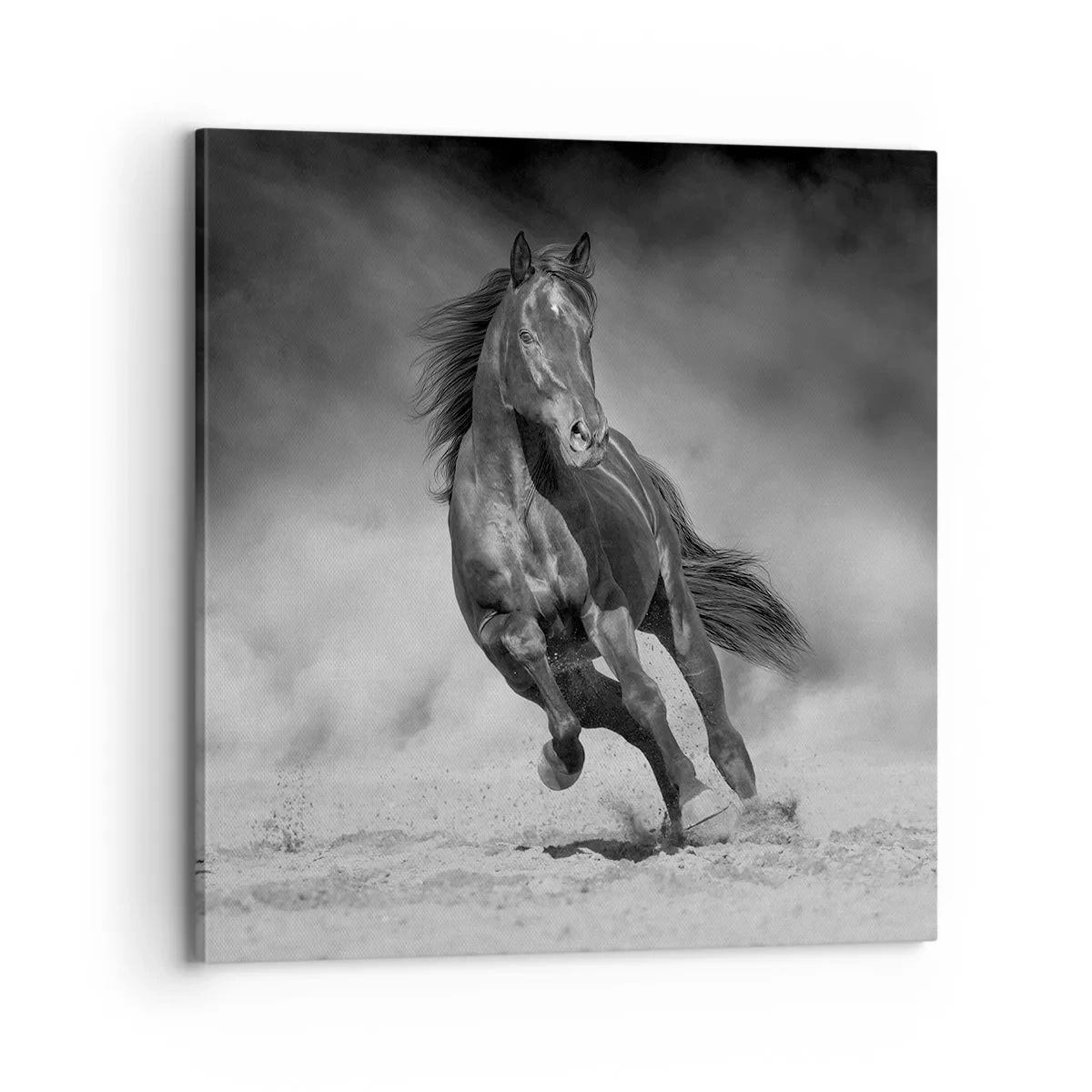 Quadro em tela - Digno do próprio emir - 70x70 cm