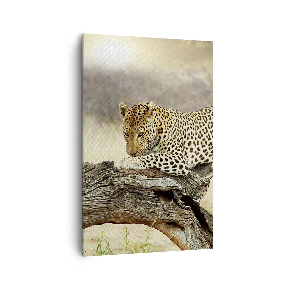 Quadro em tela - Eu sigo o meu próprio caminho - 80x120 cm