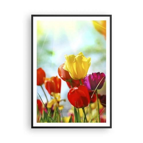 Pôster com moldura preta - Todas as cores do sol - 70x100 cm