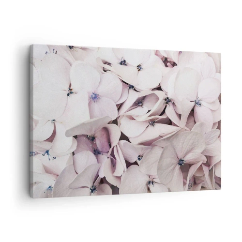 Quadro em tela - Delicadas hortênsias brancas em tons pastel - 70x50cm - Em uma inundação de flores - Decoração de parede moderna para a sala de estar e quarto ARTTOR