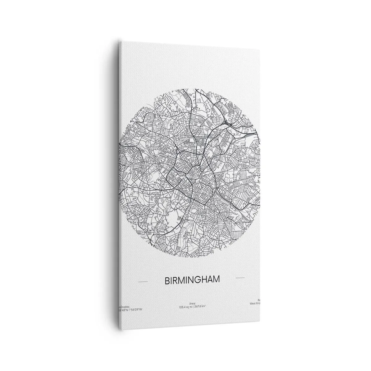 Quadro em tela - Anatomia de Birmingham - 55x100 cm