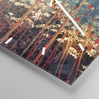 Mostrador com traços