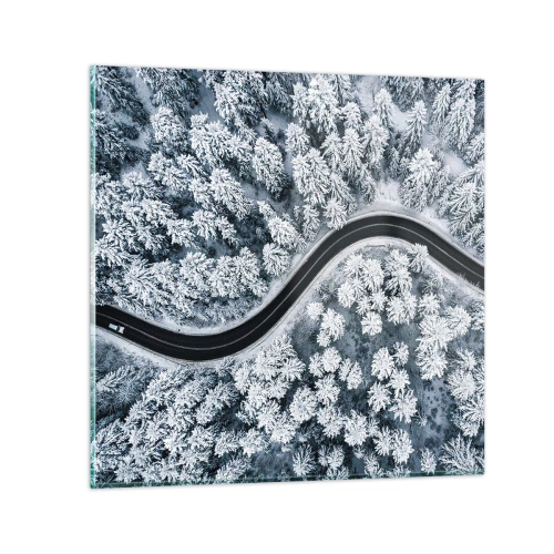Quadro em vidro - Pelaa floresta no inverno - 70x70 cm
